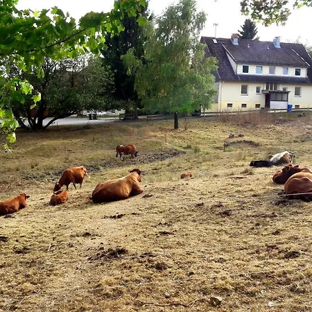 Garni Am Hochwald Hotel *